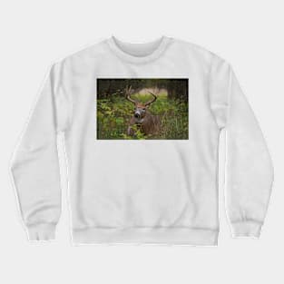 Bullet Buck Takes a Break - White-tailed Deer Crewneck Sweatshirt